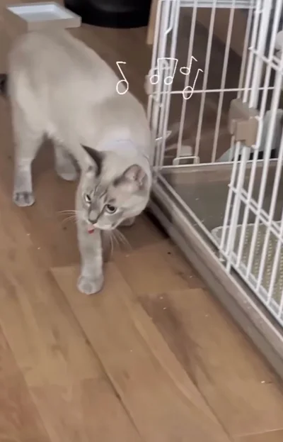 軽い足取り▶まさかの戦利品とは…！？（⇒次へ）