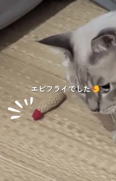 おもちゃのエビフライ▶甘えん坊な一面も（⇒次へ）
