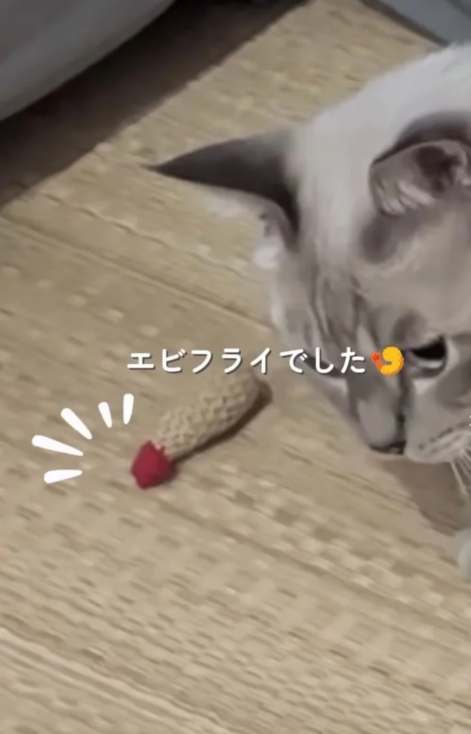 おもちゃのエビフライ▶甘えん坊な一面も（⇒次へ）