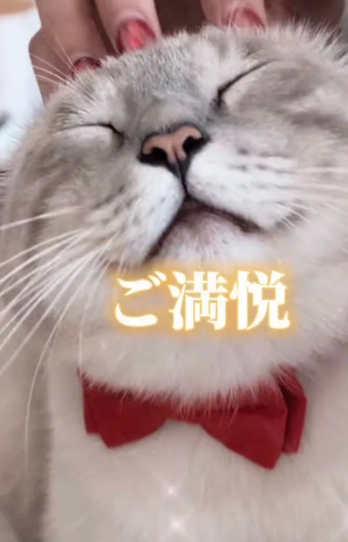 優しく頭をなでなで▶思わずうっとりして…（⇒次へ）