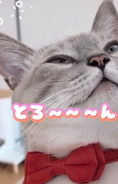 とろけるような表情▶やんちゃな一面も（⇒次へ）