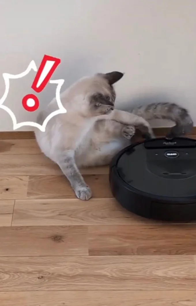 ルンバが接触してきた▶びっくりして…(⇒次へ)