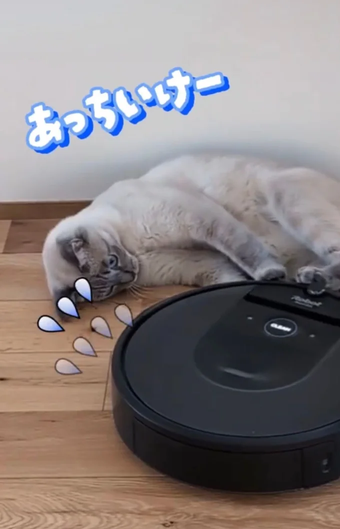 ルンバを蹴って追い返す▶ルンバが去り…(⇒次へ)