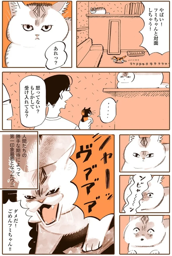 『うちの猫は仲が悪い』より