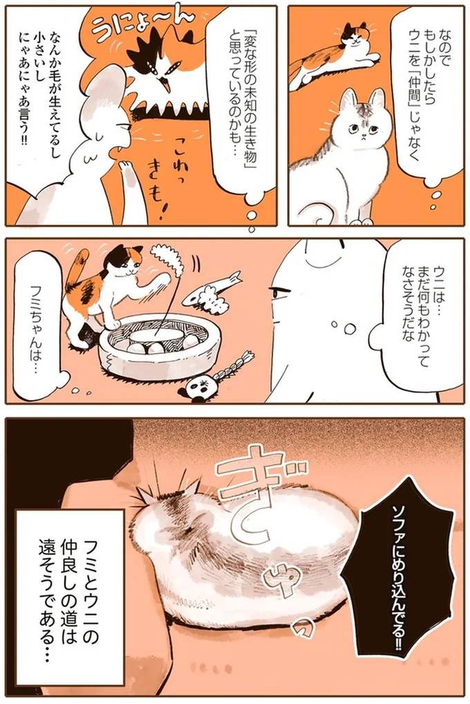 『うちの猫は仲が悪い』より