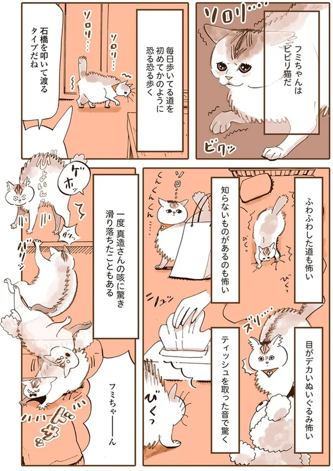 『うちの猫は仲が悪い』より