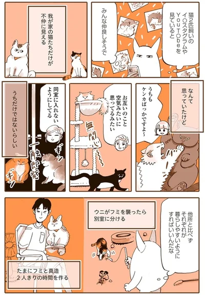 『うちの猫は仲が悪い』より