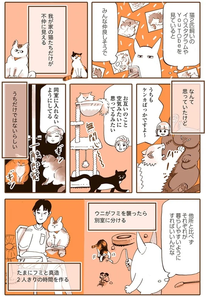 『うちの猫は仲が悪い』より
