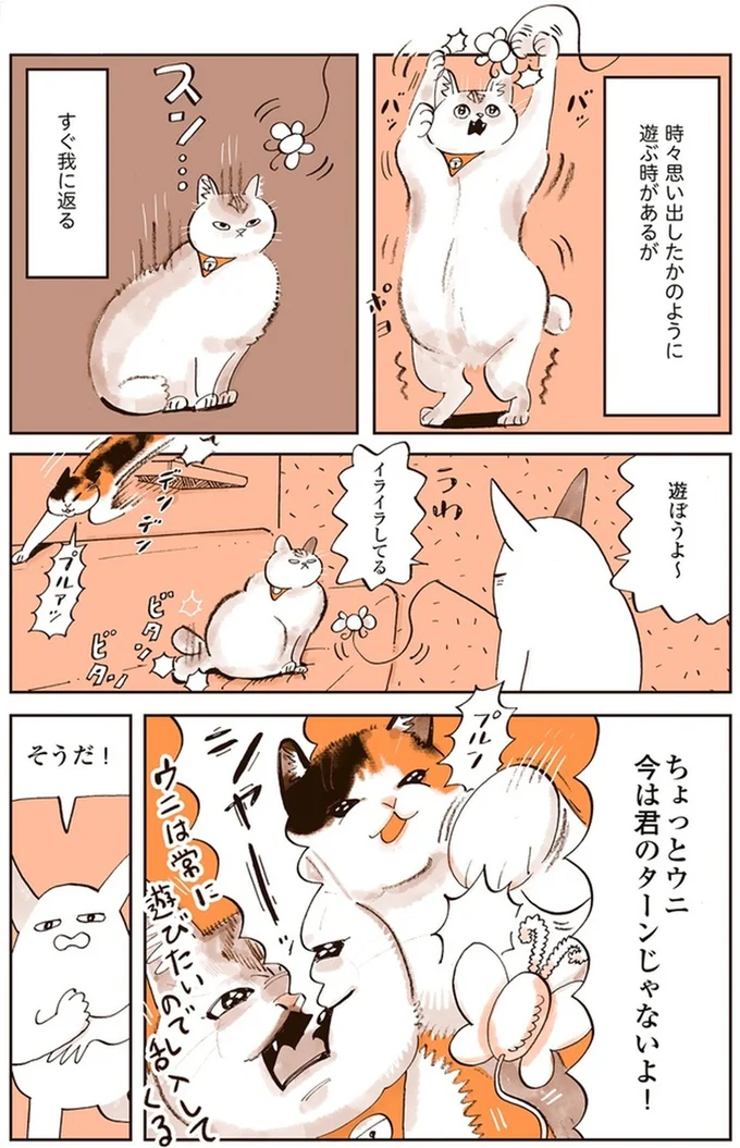 『うちの猫は仲が悪い』より
