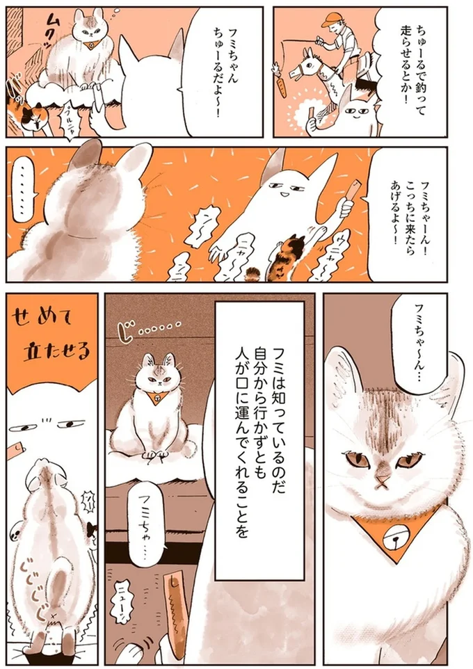 『うちの猫は仲が悪い』より