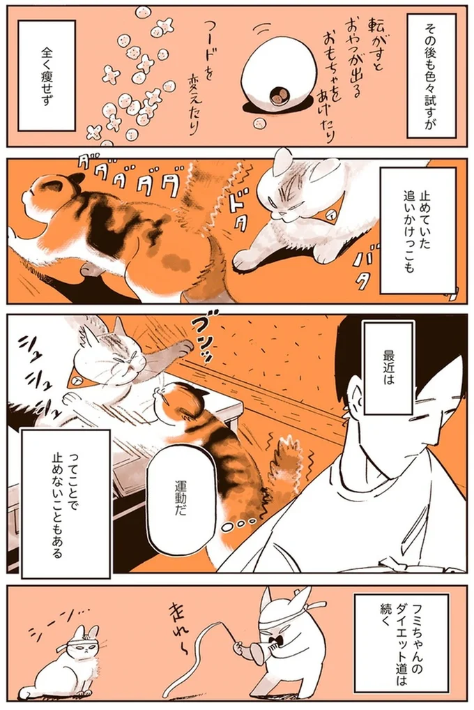 『うちの猫は仲が悪い』より