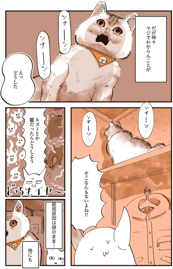 『うちの猫は仲が悪い』より
