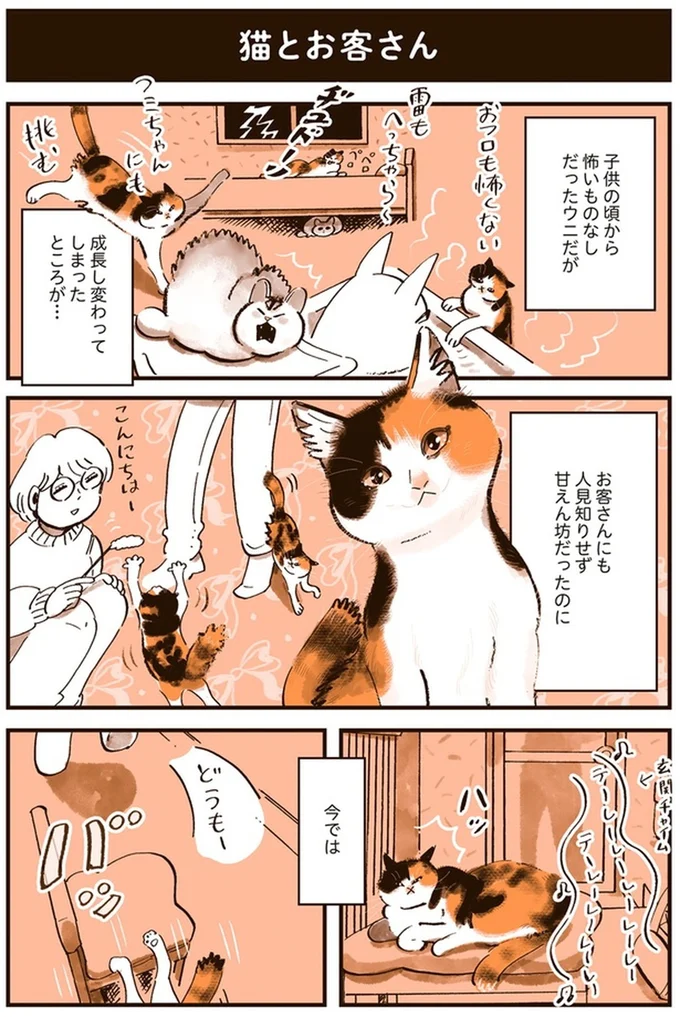 『うちの猫は仲が悪い』より