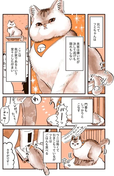 『うちの猫は仲が悪い』より