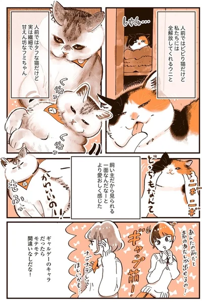 『うちの猫は仲が悪い』より