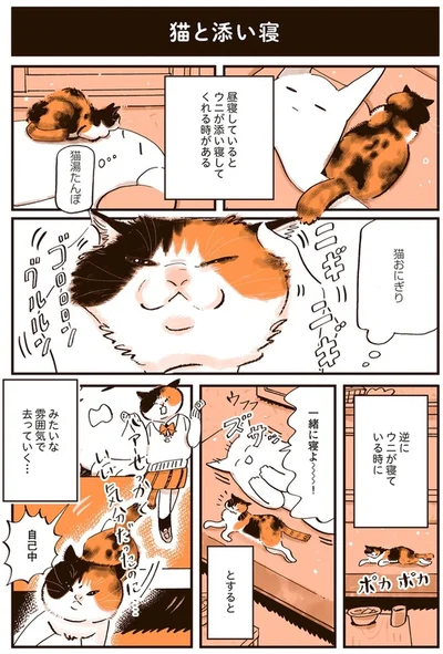 『うちの猫は仲が悪い』より