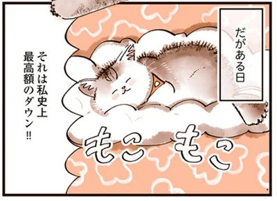 私史上最高額のダウン！！