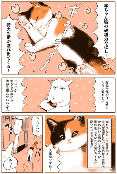特大の愛が溢れ出てくる！