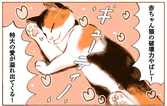 破壊力やばし！ 愛おしすぎる赤ちゃん猫が我が家にやってきた！