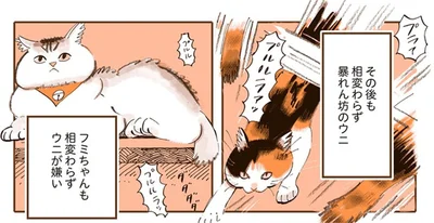 相変わらずウニが嫌い