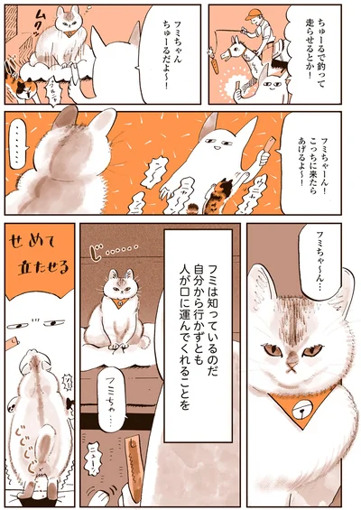 フミは知っているのだ