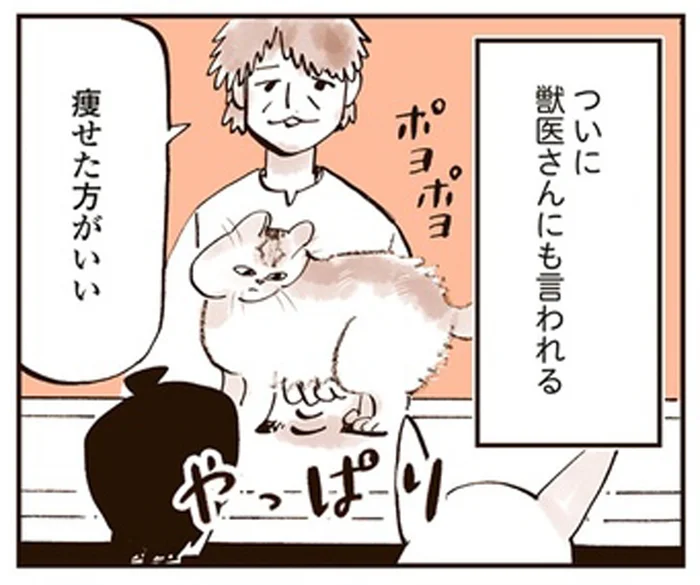 獣医からも「痩せたほうが」と指導が。ぽっちゃり猫のダイエット