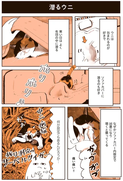 なぜかソファカバー内限定で凶暴になり