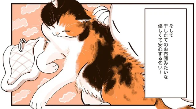 干したてのお布団みたいな匂い！「猫を吸う」とてつもない多幸感
