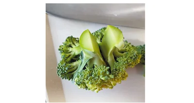 つぼみ側の大きさを意識しながら、切り込みをとっかかりに手で裂く