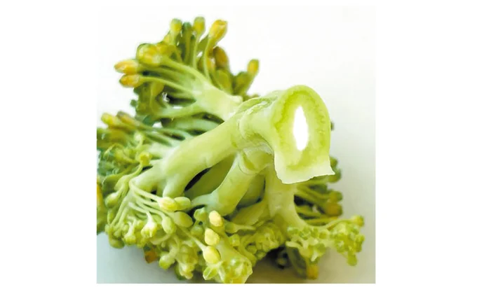 病気ではなく単なる老化現象