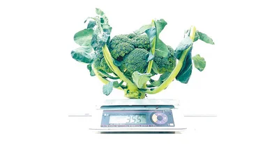 重量ベースでだいたい10ブロッコリー以上