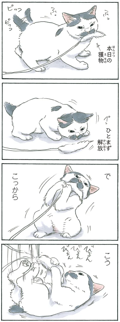 ノリ吉スペシャル