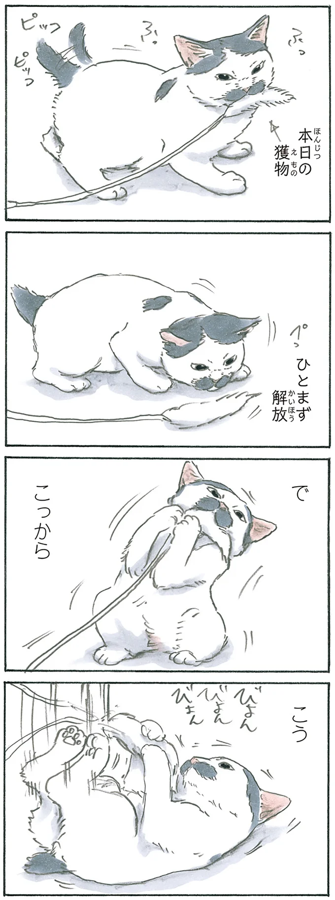 ノリ吉スペシャル