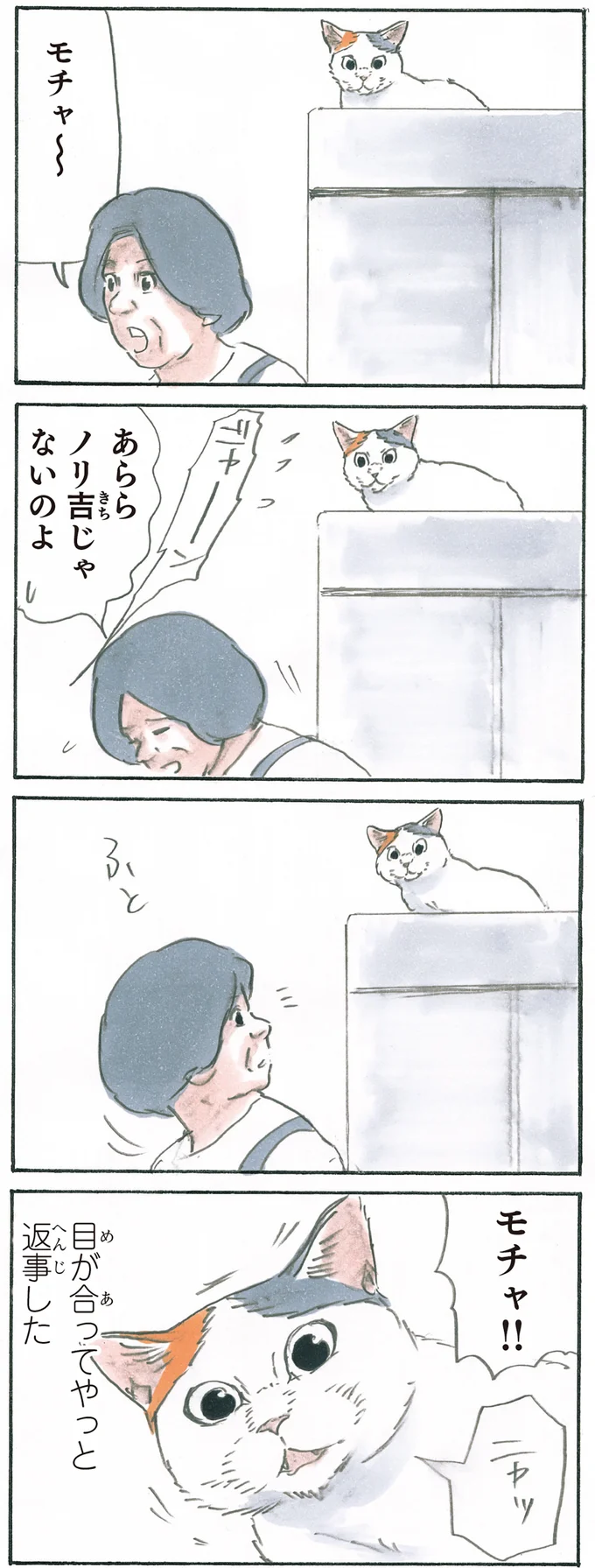 『拾い猫のモチャ6』より