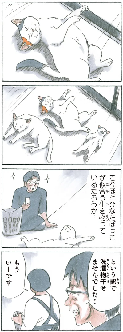 『拾い猫のモチャ6』より