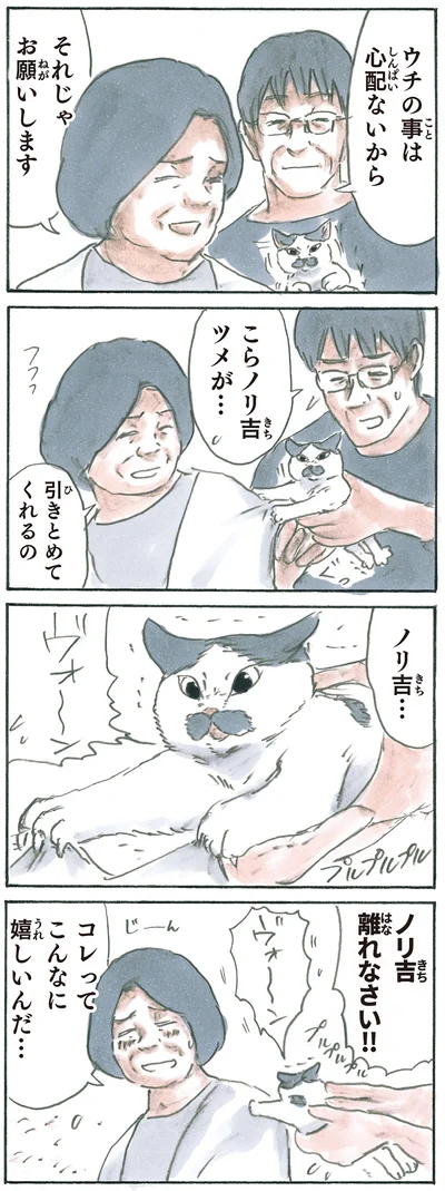 『拾い猫のモチャ6』より