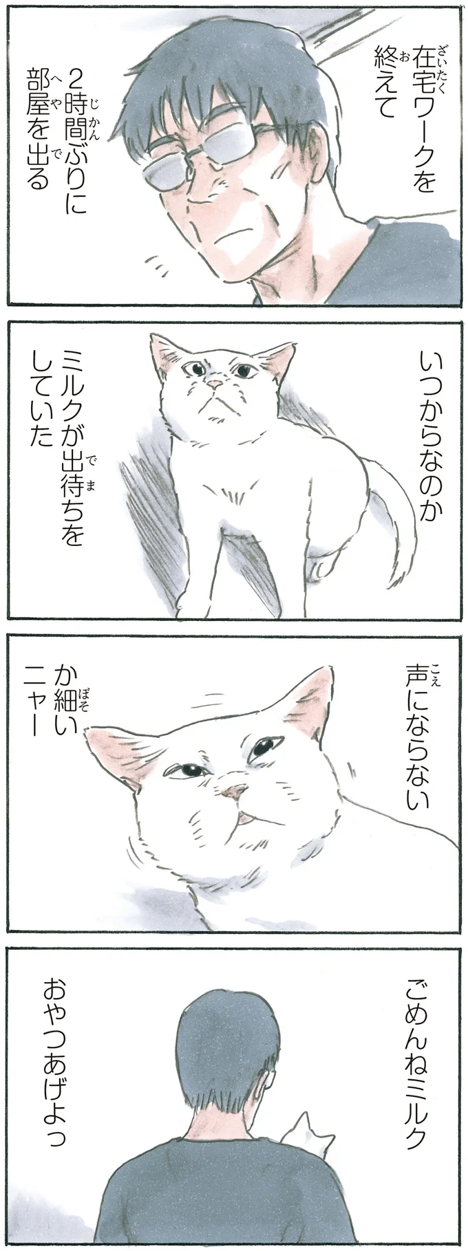 『拾い猫のモチャ6』より
