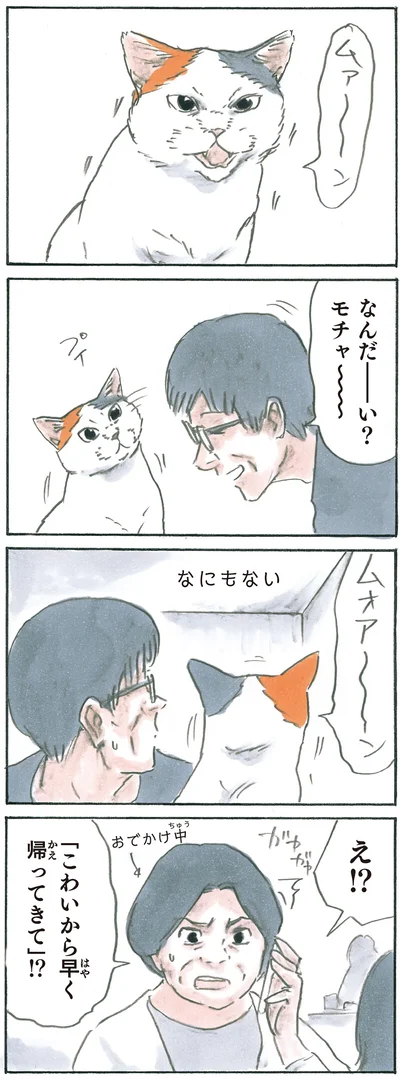 『拾い猫のモチャ6』より