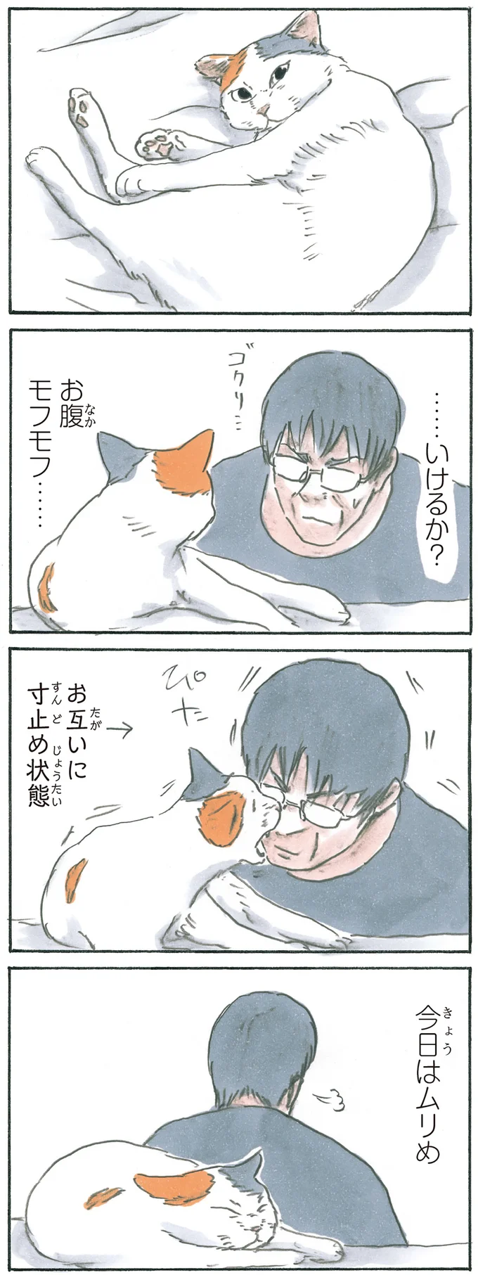 『拾い猫のモチャ6』より