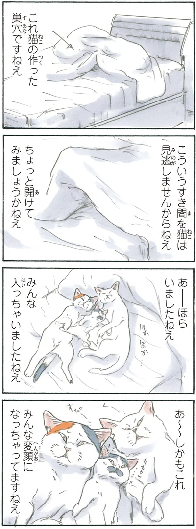 『拾い猫のモチャ6』より