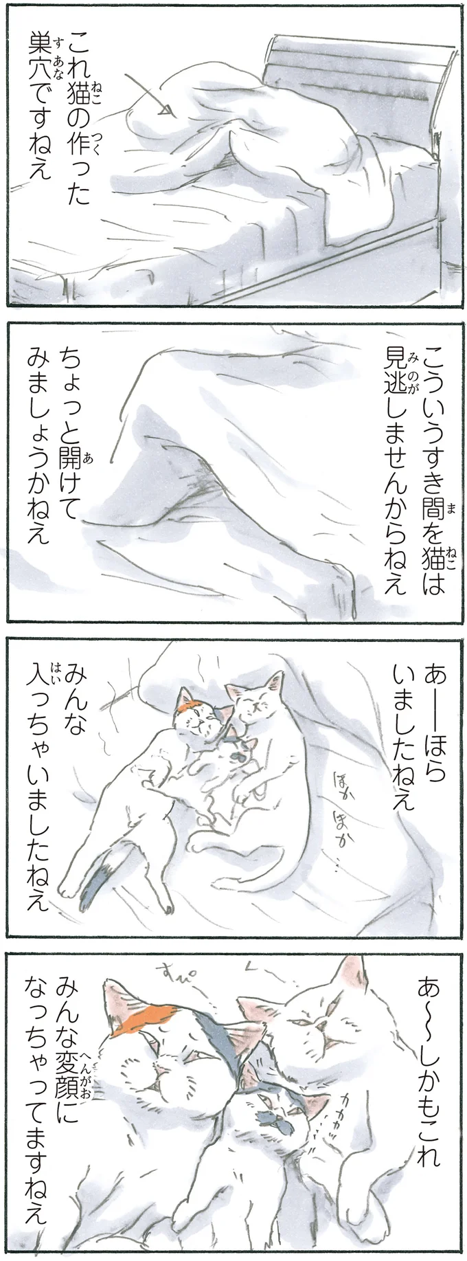 『拾い猫のモチャ6』より