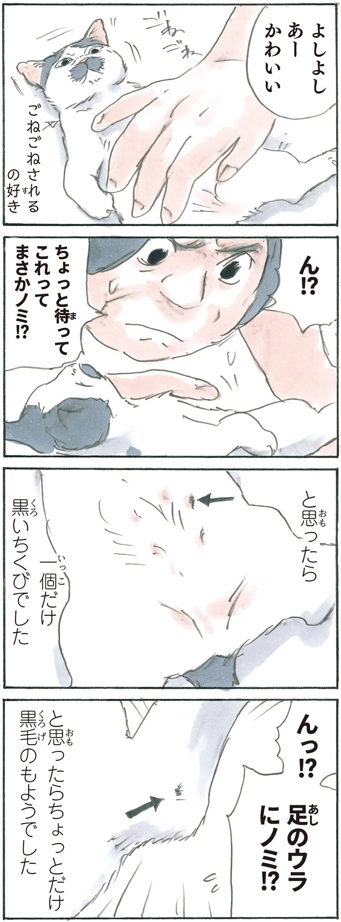 『拾い猫のモチャ6』より