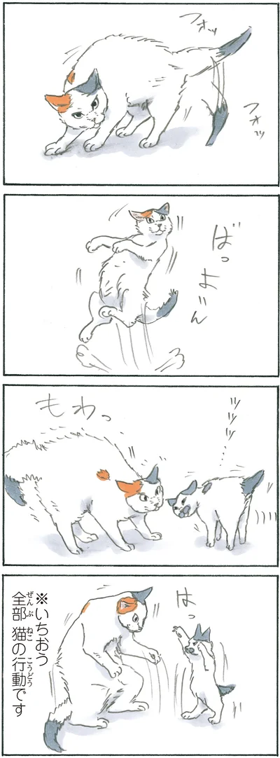 『拾い猫のモチャ6』より