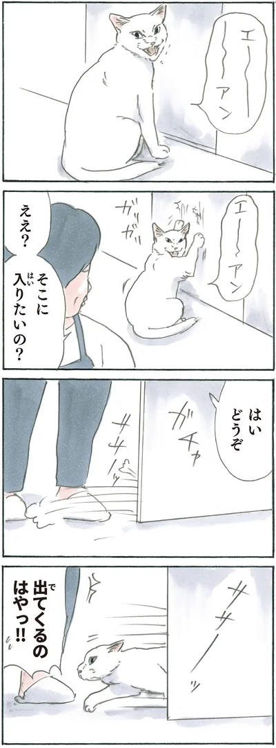 『拾い猫のモチャ6』より