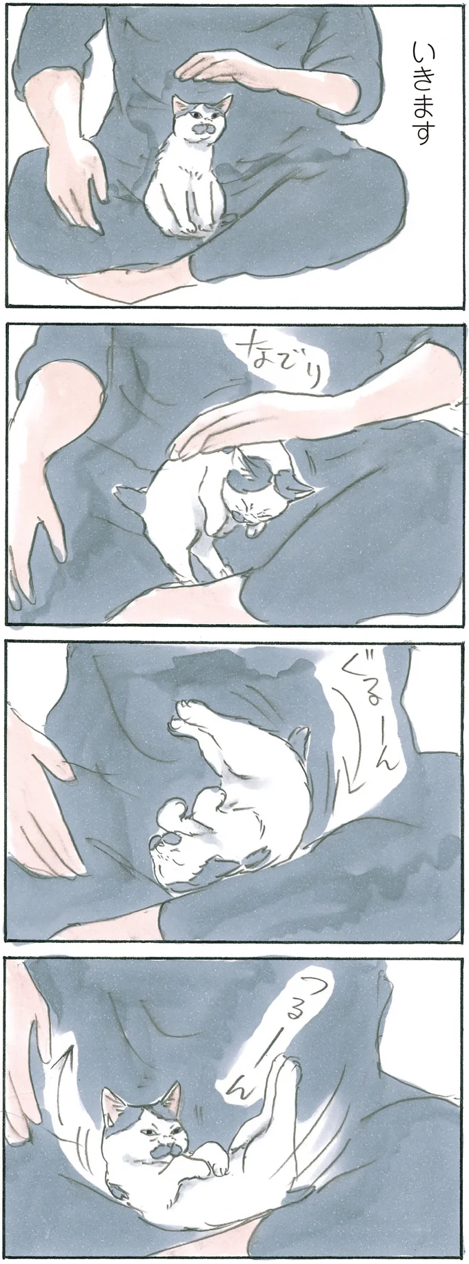 『拾い猫のモチャ6』より