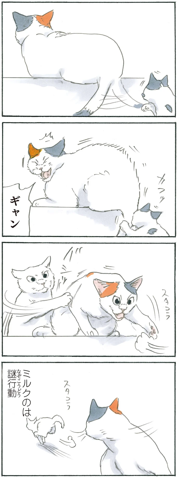 『拾い猫のモチャ6』より