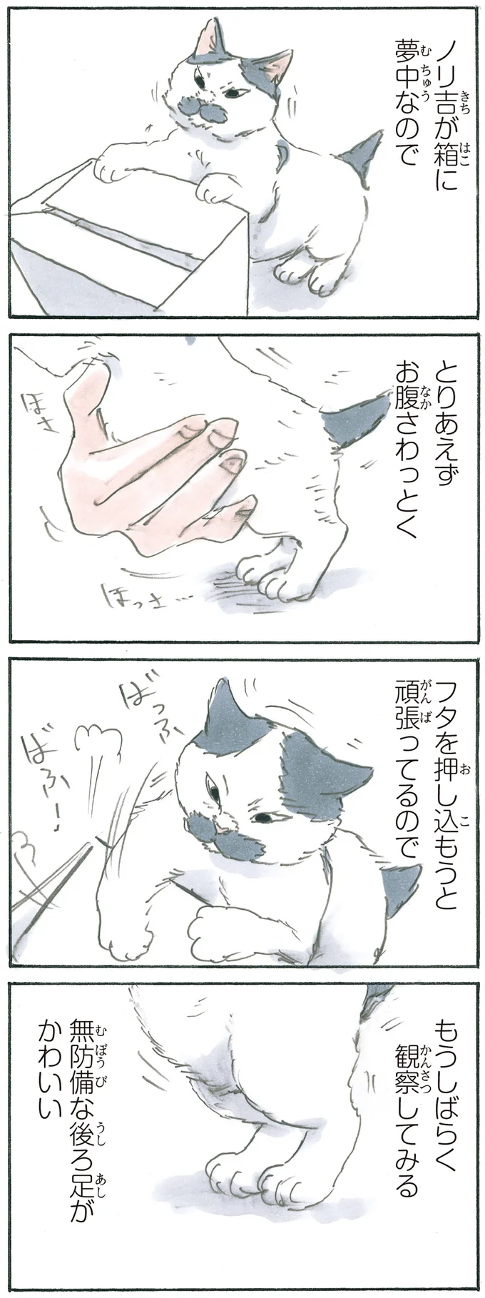 『拾い猫のモチャ6』より