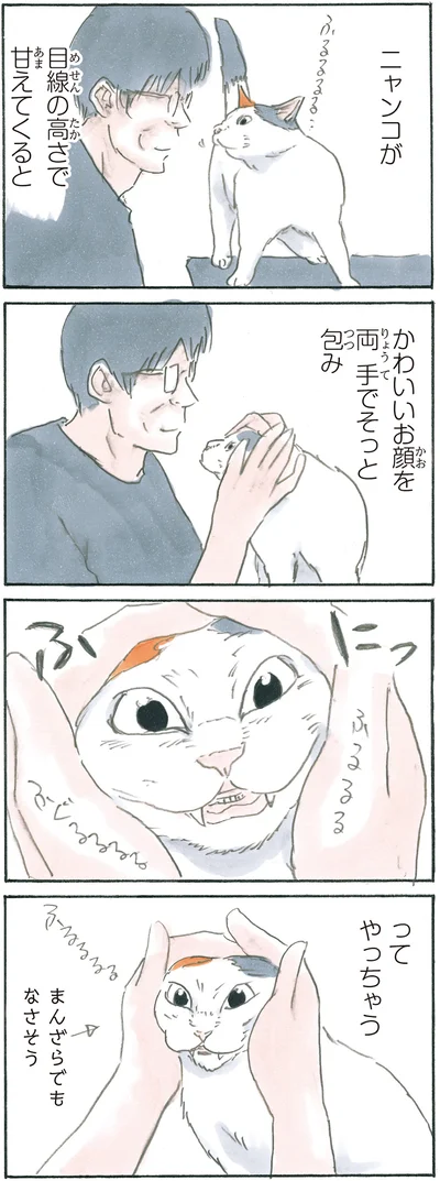 『拾い猫のモチャ6』より