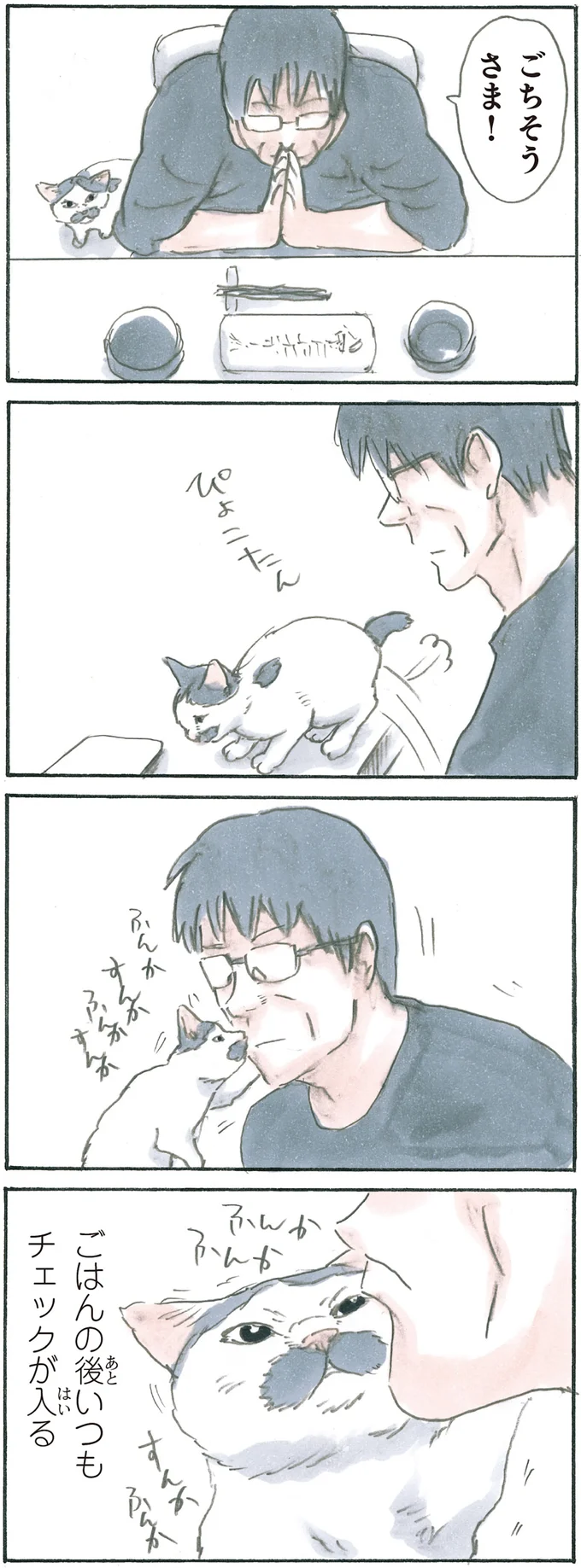 『拾い猫のモチャ6』より