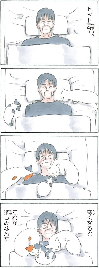 『拾い猫のモチャ6』より